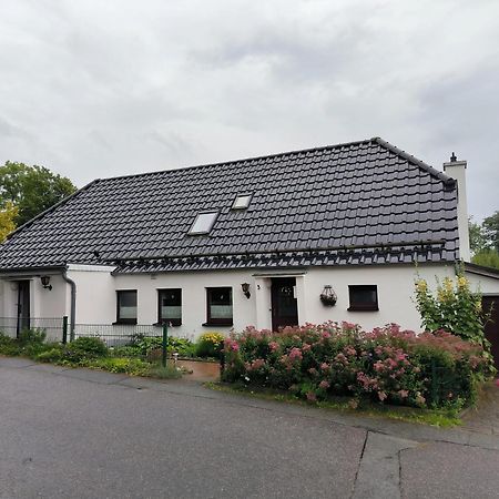 Andresen - Ferienwohnung Mit Gartenlaube ฮันเดอวิทท์ ภายนอก รูปภาพ